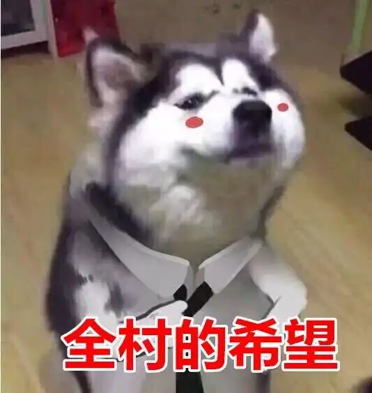  打开离家后备箱,汉中人笑了又哭了