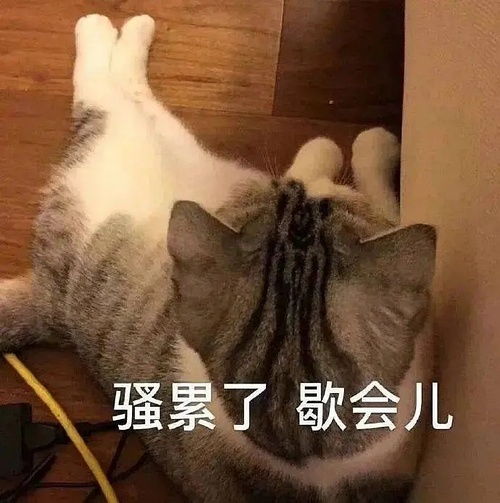 我感觉我抑郁了表情包橘
