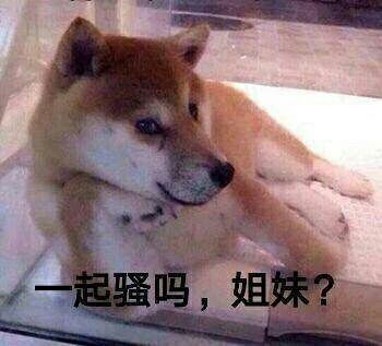  看你几时完