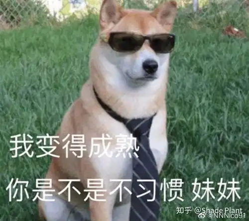 被妹妹叫欧尼酱是什么体验 被妹妹叫欧尼酱是什么体验