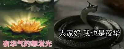  三生三世十里桃花夜华表情包大家好我是夜华表情包下载完整版腾牛下载
