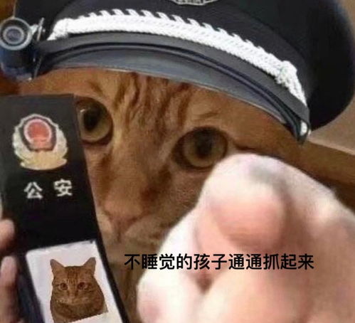  来一组怼人表情包合集