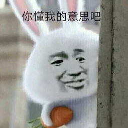  前男友萝卜丁杨树林2017全国败家仙女统一试卷,快来测测你有多精致吧