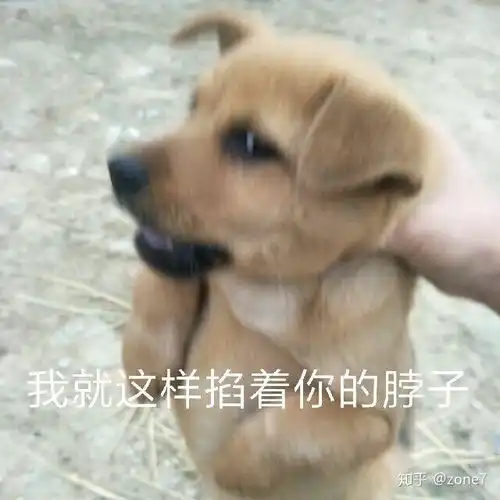 2022年双十一有哪些值得推荐的显示器支架笔记本支架升降桌10月更新 2022年双十一有哪些值得推荐的显示器支架笔记本支架升降桌10月更新