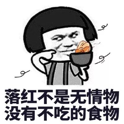 抖音最火表情包熊猫吃货