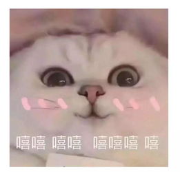  学习强国是个宝藏app其实这里还有几款神仙应用