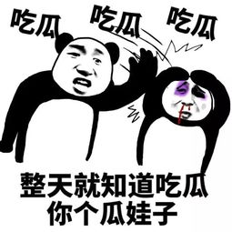  表情包