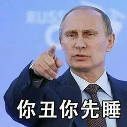 德国表情包普京