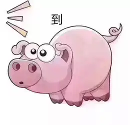 斗图表情包乌龟猪仔
