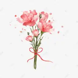  母亲节红色康乃馨花朵素材图片免费下载千库网