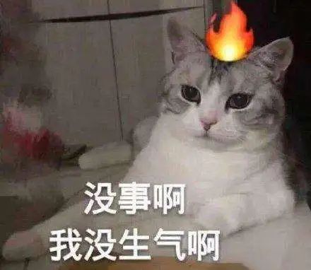 不要再喂流浪猫了喂食流浪猫,只会害了它们...... 不要再喂流浪猫了喂食流浪猫,只会害了它们......