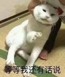  我可以,我能行