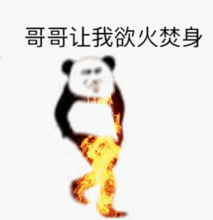  熊猫头斗图表情包大全