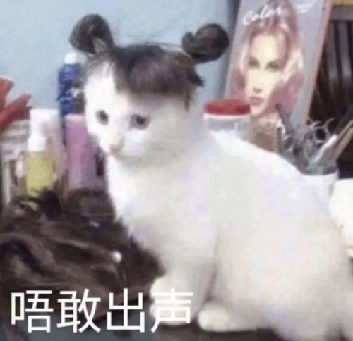  lol冠军之夜官方表示五重豪华奖励玩家说白了不就一个皮肤吗