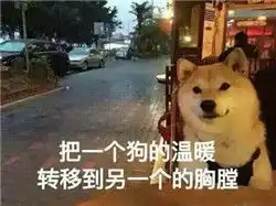 发给对象的表情包找不到