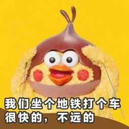  要火共青森林公园隐藏着一大片向日葵花海,人少景美,速来