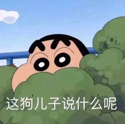  每日表情丨你居然绿我