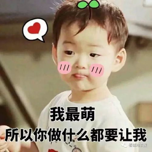  好消息地铁2号线启动铺轨招标,计划2019年12月完工