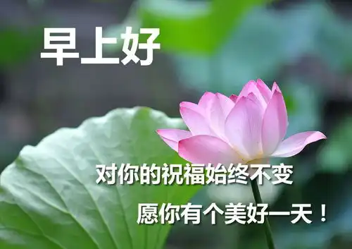 最新早上好表情炎炎夏日早上好的问候语图片带字 最新早上好表情炎炎夏日早上好的问候语图片带字