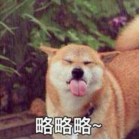  让你略略略表情包微信头像图片大全