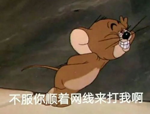  表情包猫和老鼠系列表情包