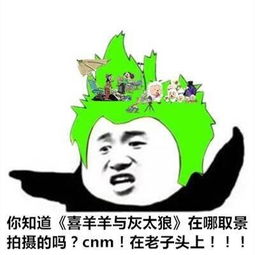  发条乐点2090年我找到了爷爷年轻时的照片