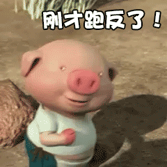  你有运动的习惯吗评价一下你的运动细胞