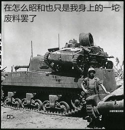  二战德军的表情包