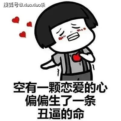 啪的一声没了的表情包爆