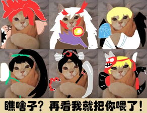  阴阳师表情包福利最想要的式神