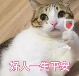 爱你呀表情包爱猫