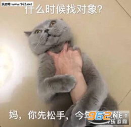  我的颓废总是比昨天多一点比明天少一点表情包我通过望远镜看见你在吃屎表情包下载乐游网游戏下载