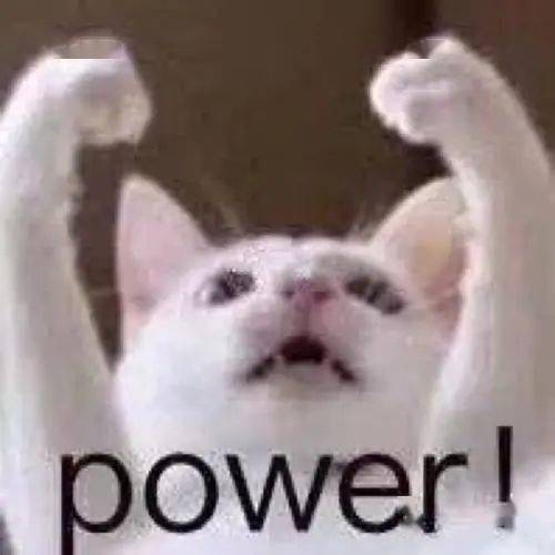  超萌当眉山人遇到了猫咪表情包会是什么样
