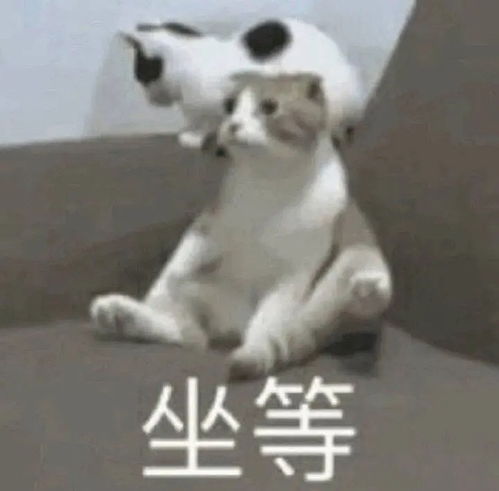  广州的uu可以进来一下吗