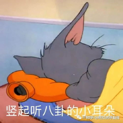  潘玮柏的空姐太太