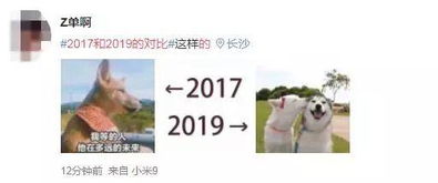  挑战脑洞的大比拼刷爆的20172019你参加了没