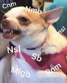  十条笑话你可能是女娲捏的最后一个人