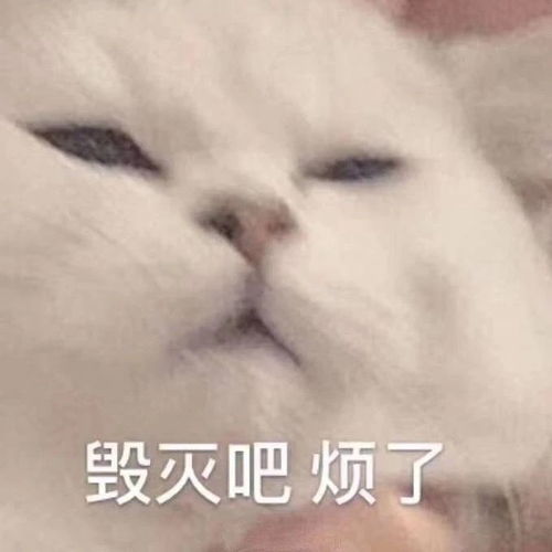  要看的书真的好多