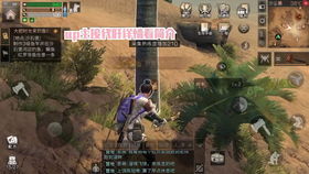  抽奖明日之后共号代肝