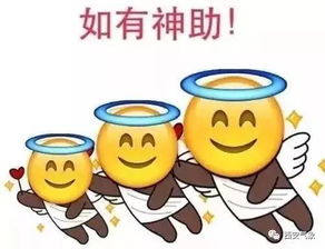  烤啊烤只焦不傲