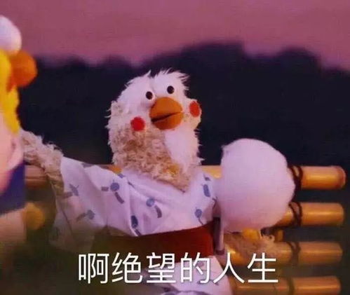  你打游戏我买包,还有人在搞传销