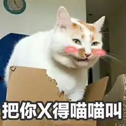 猫咪呕吐表情包吸猫
