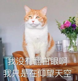  晒的比古天乐还黑这3点让你迅速白回来晒后修复