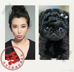 李冰冰晒照自嘲单身汪表情搞怪逗趣惹人爱 李冰冰晒照自嘲单身汪表情搞怪逗趣惹人爱