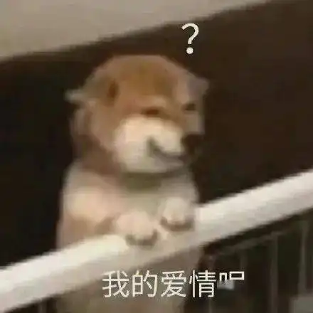 谈恋爱被气笑的瞬间网友评论是我没想到的 谈恋爱被气笑的瞬间网友评论是我没想到的