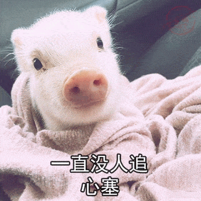  情侣小猪猪表情包我这么可爱,别人捡到是不会还给你的