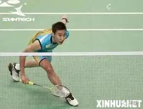 打羽毛球照片表情包男单