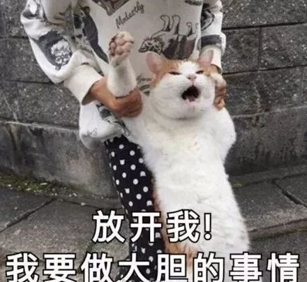 面对疾风吧表情包斗图重