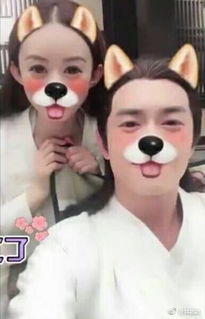  楚乔传看到结尾想弃剧表情包比正剧还好看