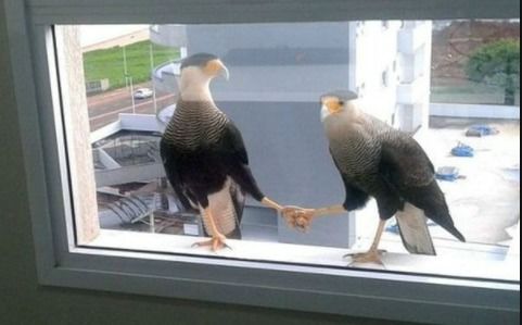 搞笑段子我去跟领导请假,领导你就不会先生个孩子治治病 搞笑段子我去跟领导请假,领导你就不会先生个孩子治治病